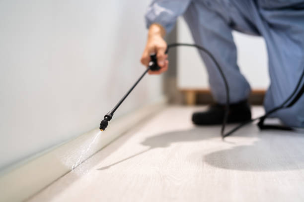 Licensed Pest Control service in Stapleton, AL - Show Me Pest Control